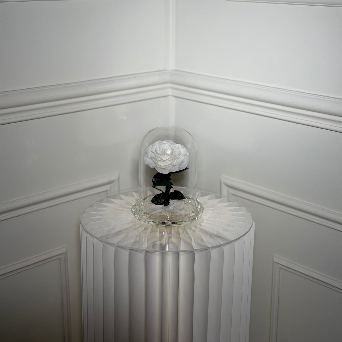 Cloche Cristal
